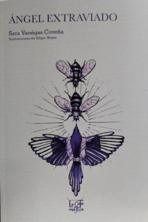 ANGEL EXTRAVIADO Colección De sueño en sueño