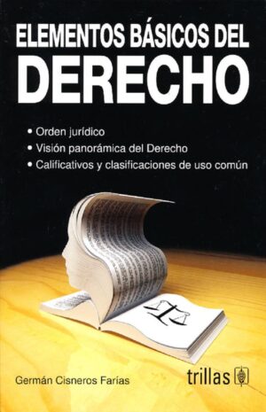 ELEMENTOS BASICOS DEL DERECHO Orden jurídico, visión panorámica del Derecho