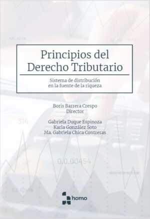 PRINCIPIOS DEL DERECHO TRIBUTARIO
